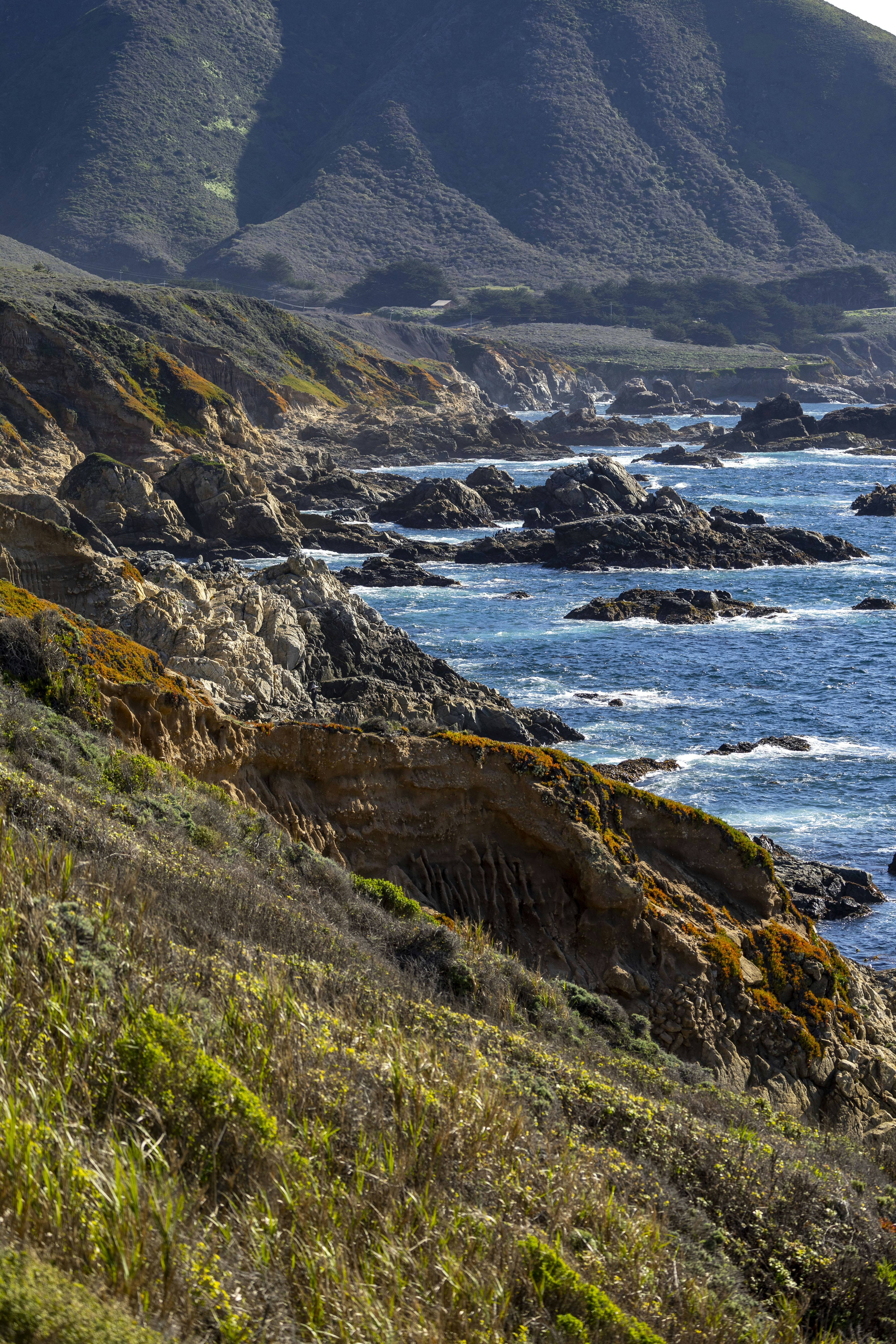 Photo by leo_visions_