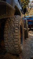 Close-up of a jeep tire on a rugged trail surrounded by tropical plants.