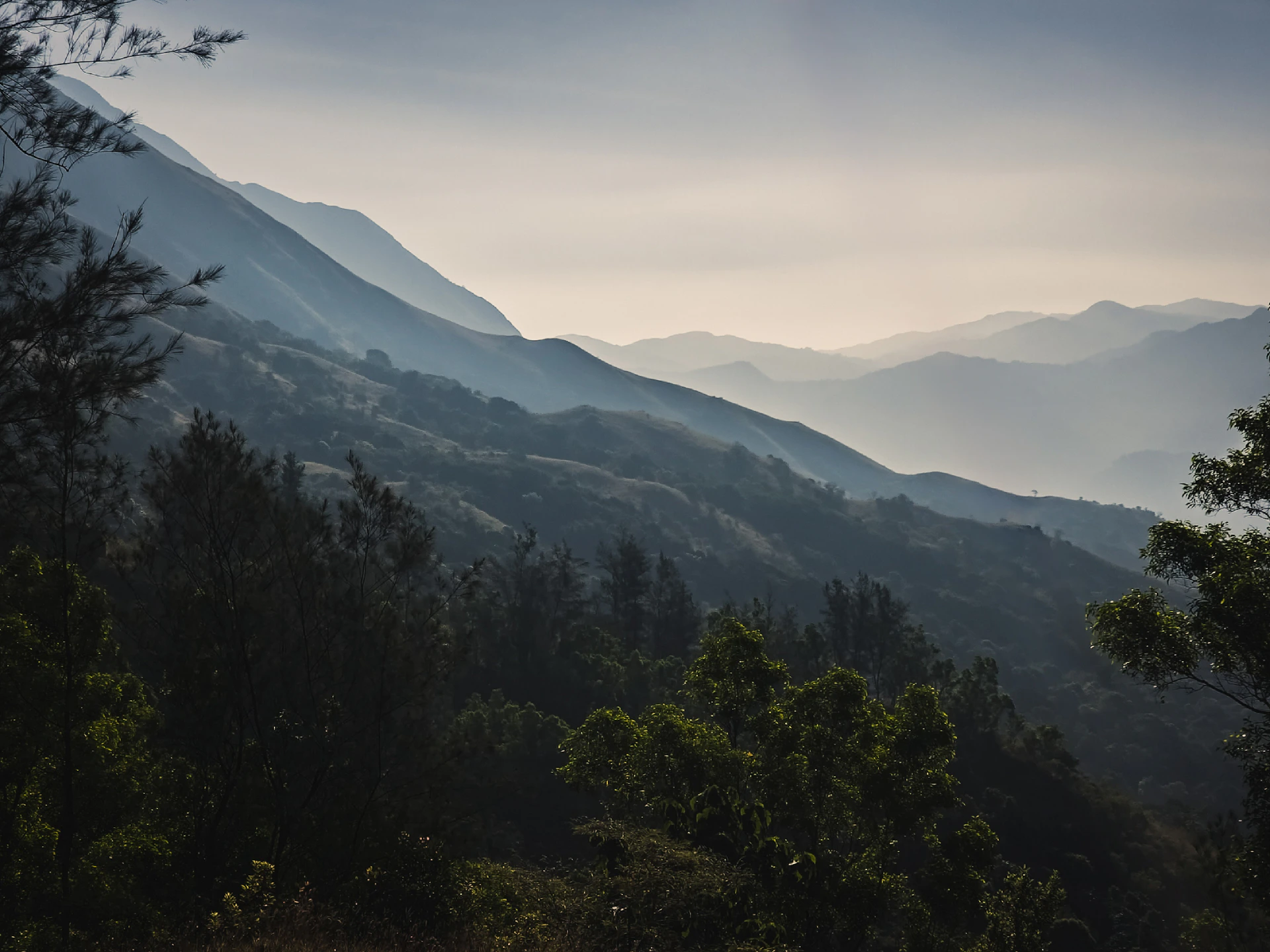 gray computer monitor