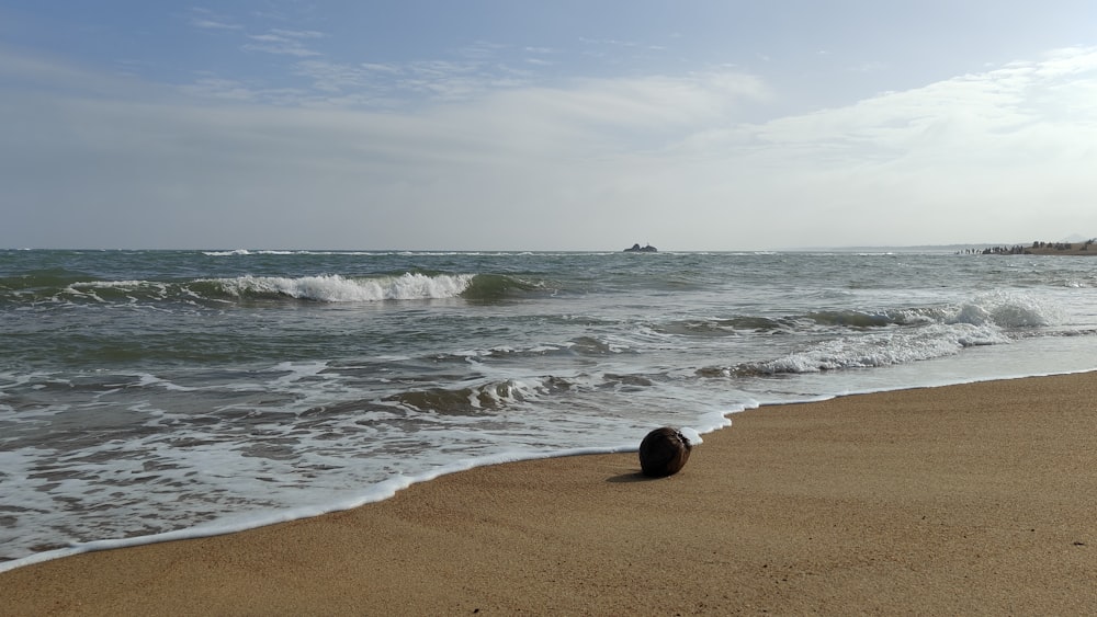 a ball sitting on top of a sandy beach next to the ocean