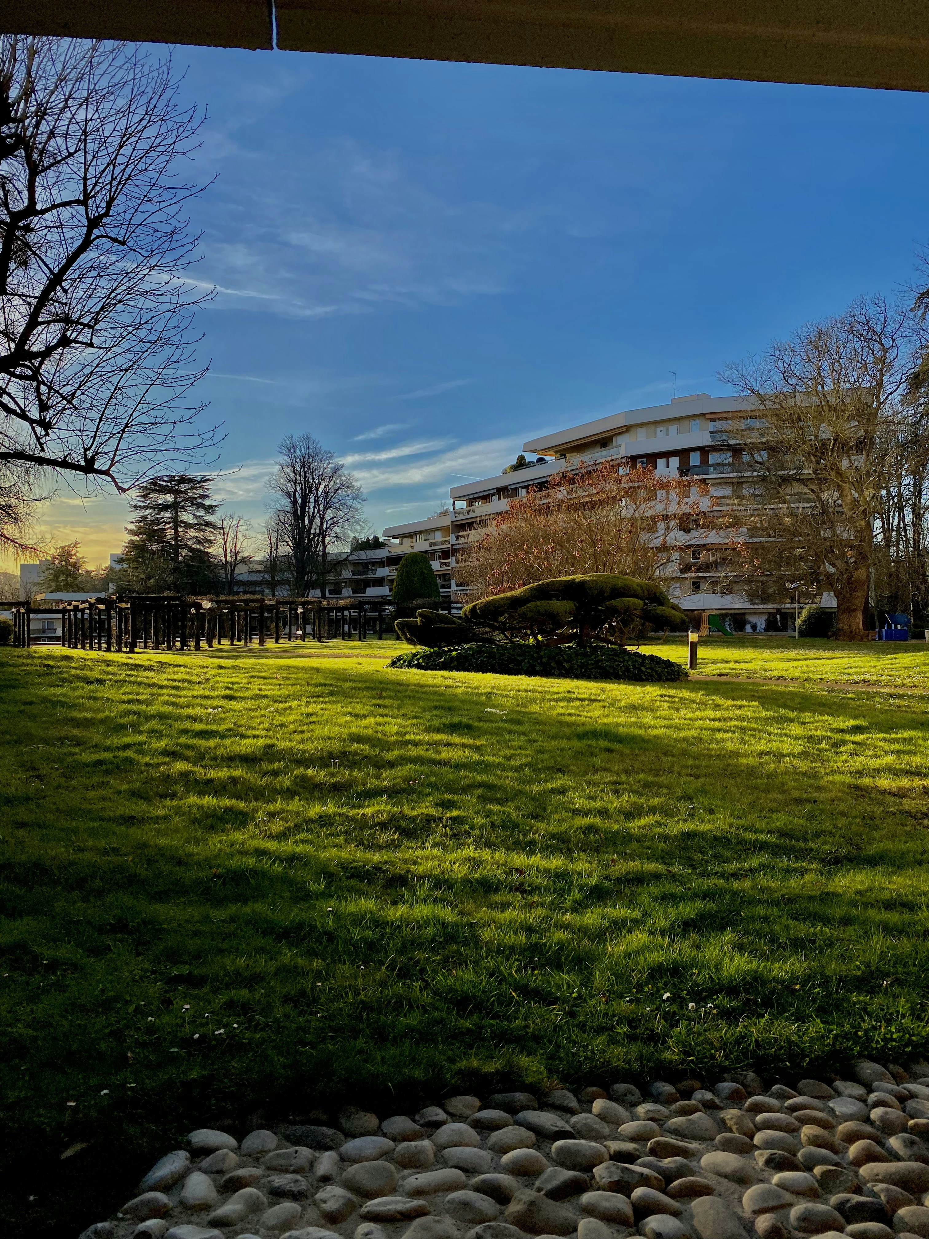 a grassy area with a building in the background