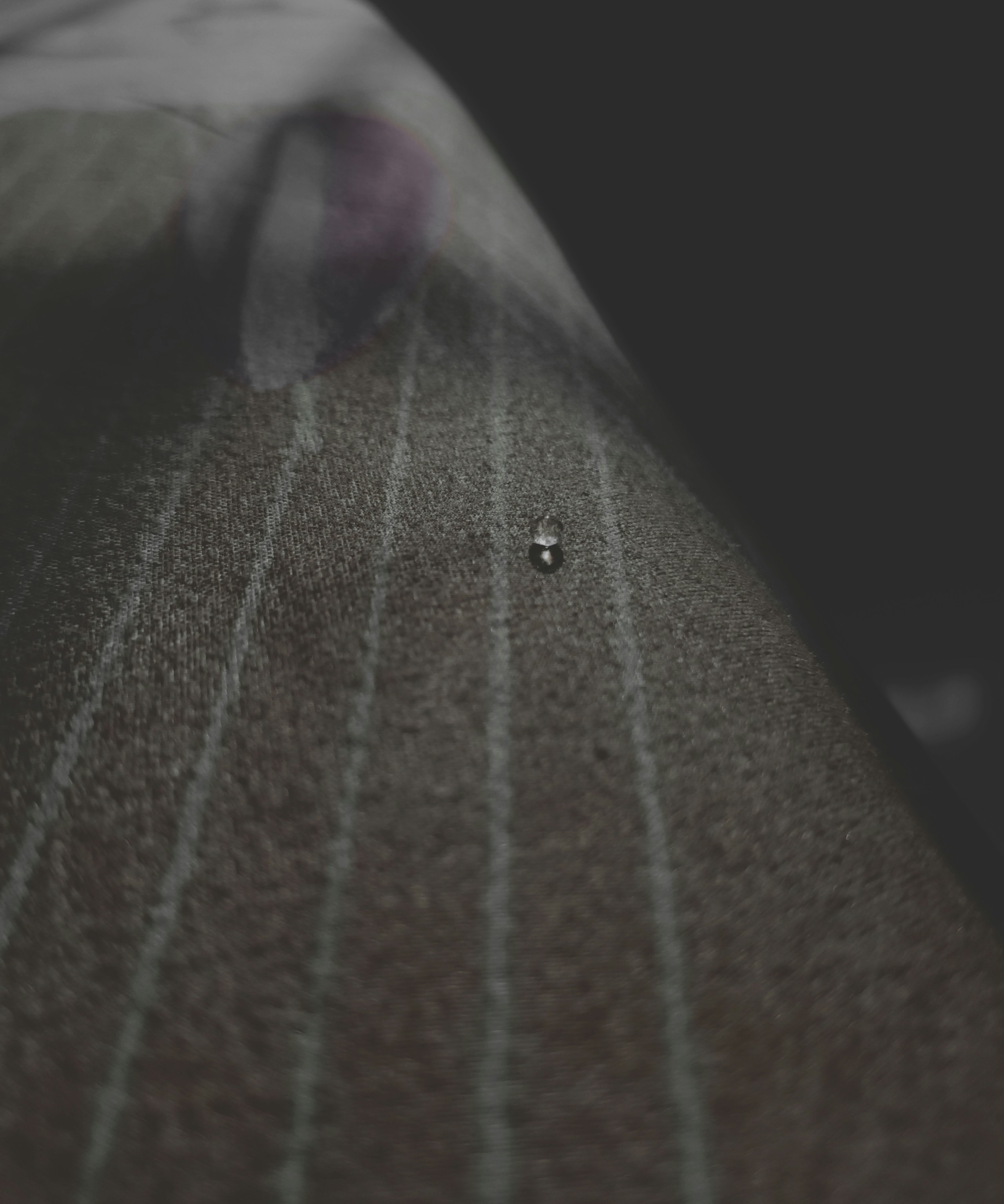 Photo by prathmesh_2610