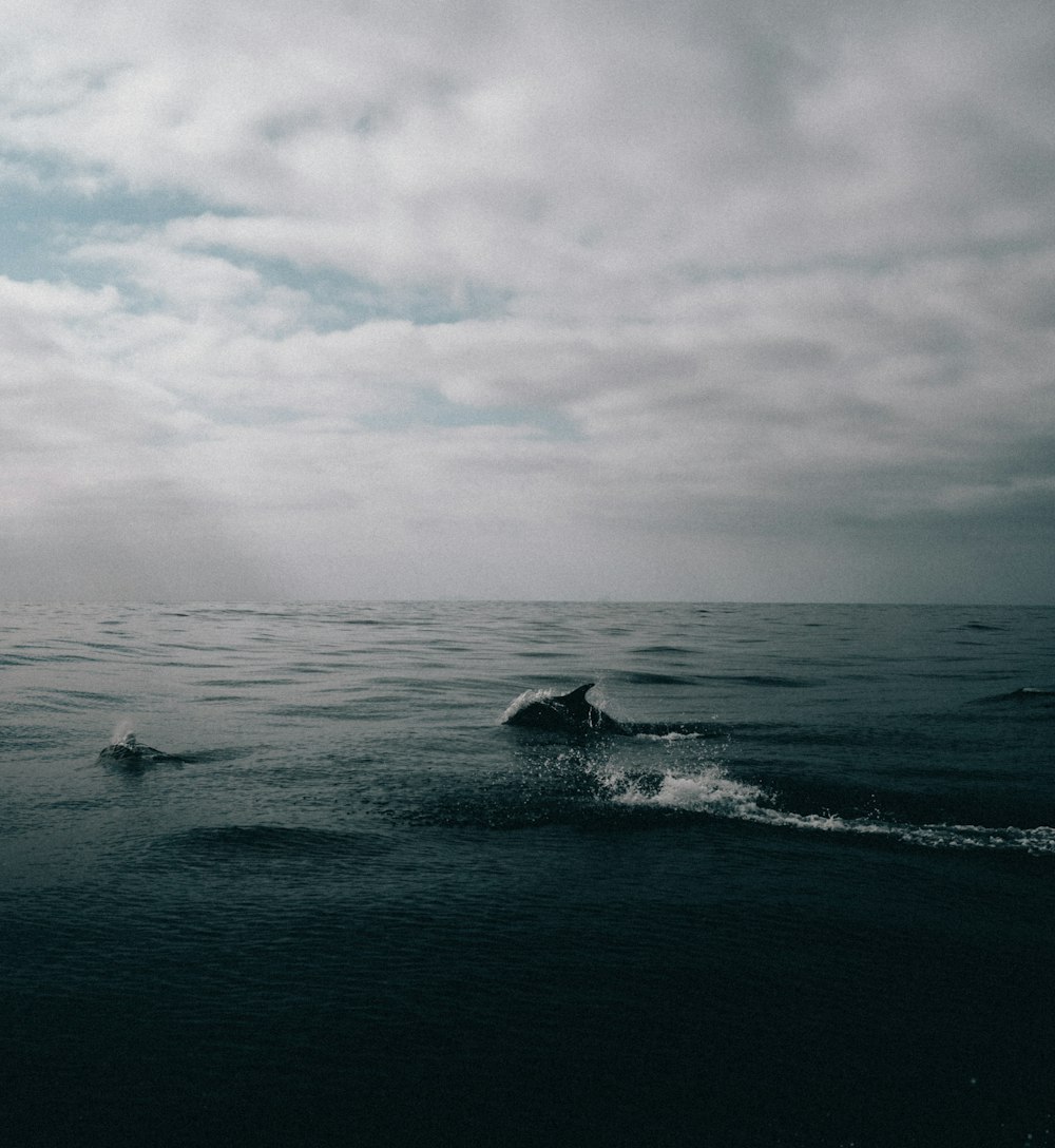 a person riding a surfboard on a body of water