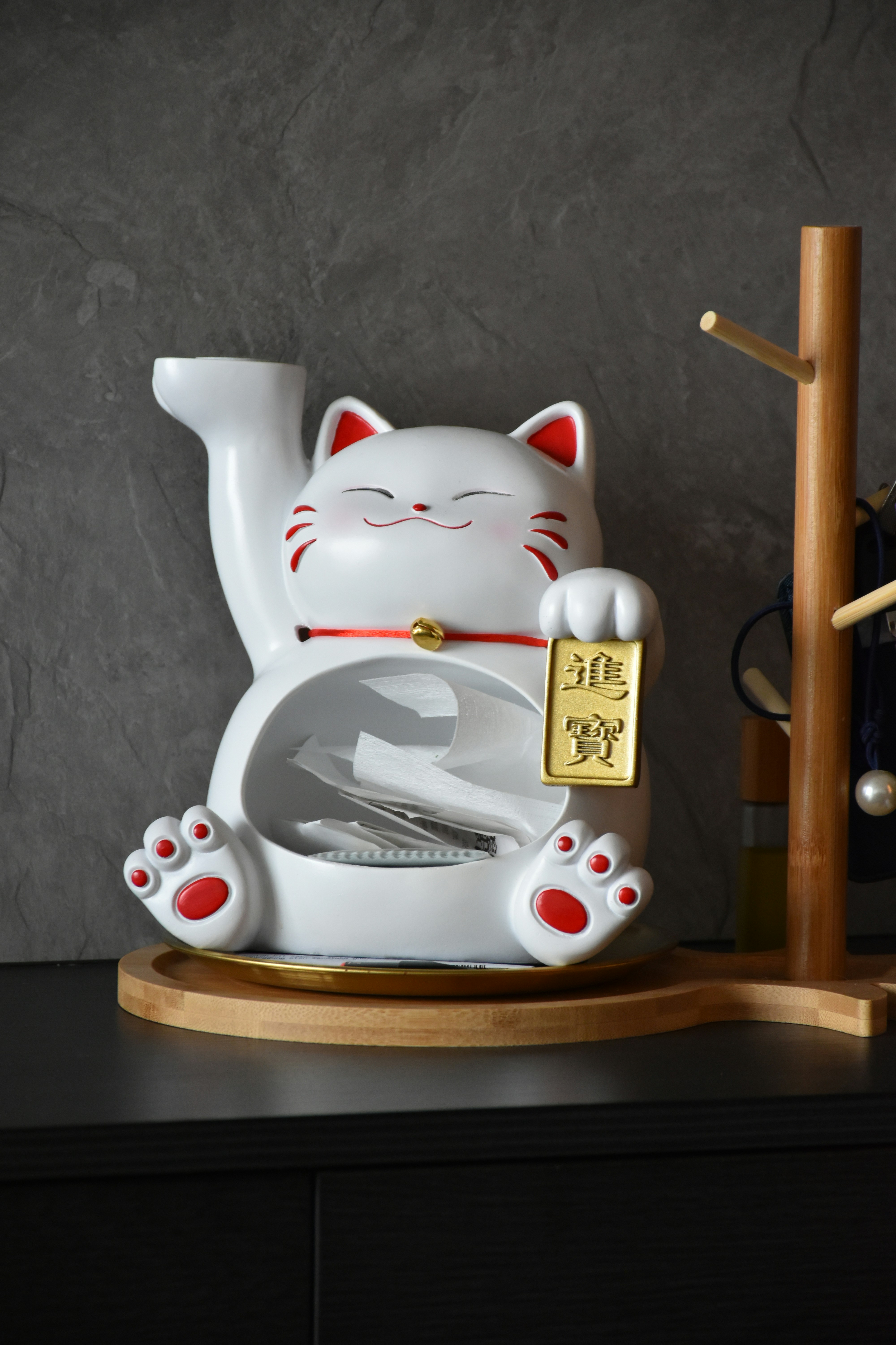 Cat Lover's Delight Collection