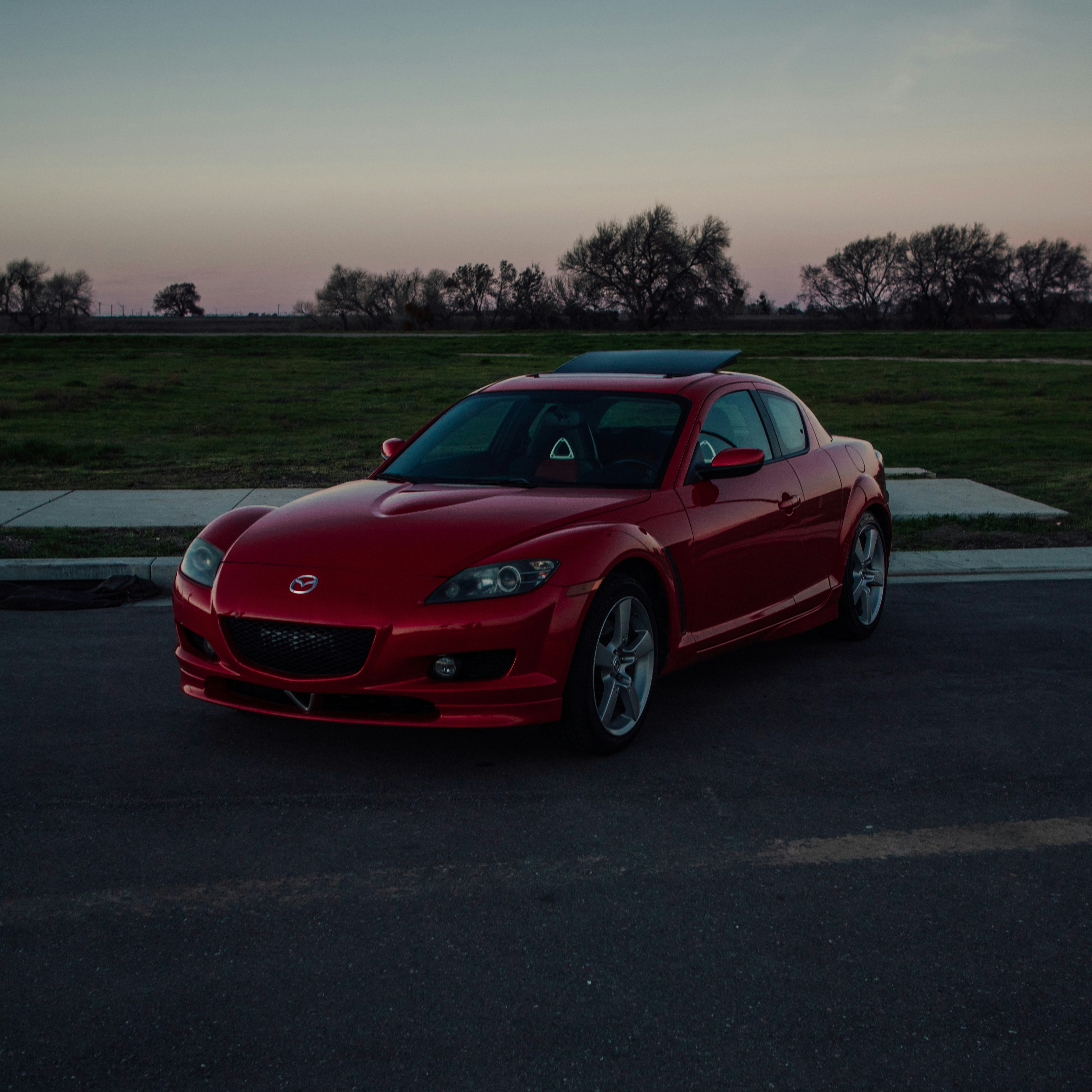 Photo by angelssloppyphotos