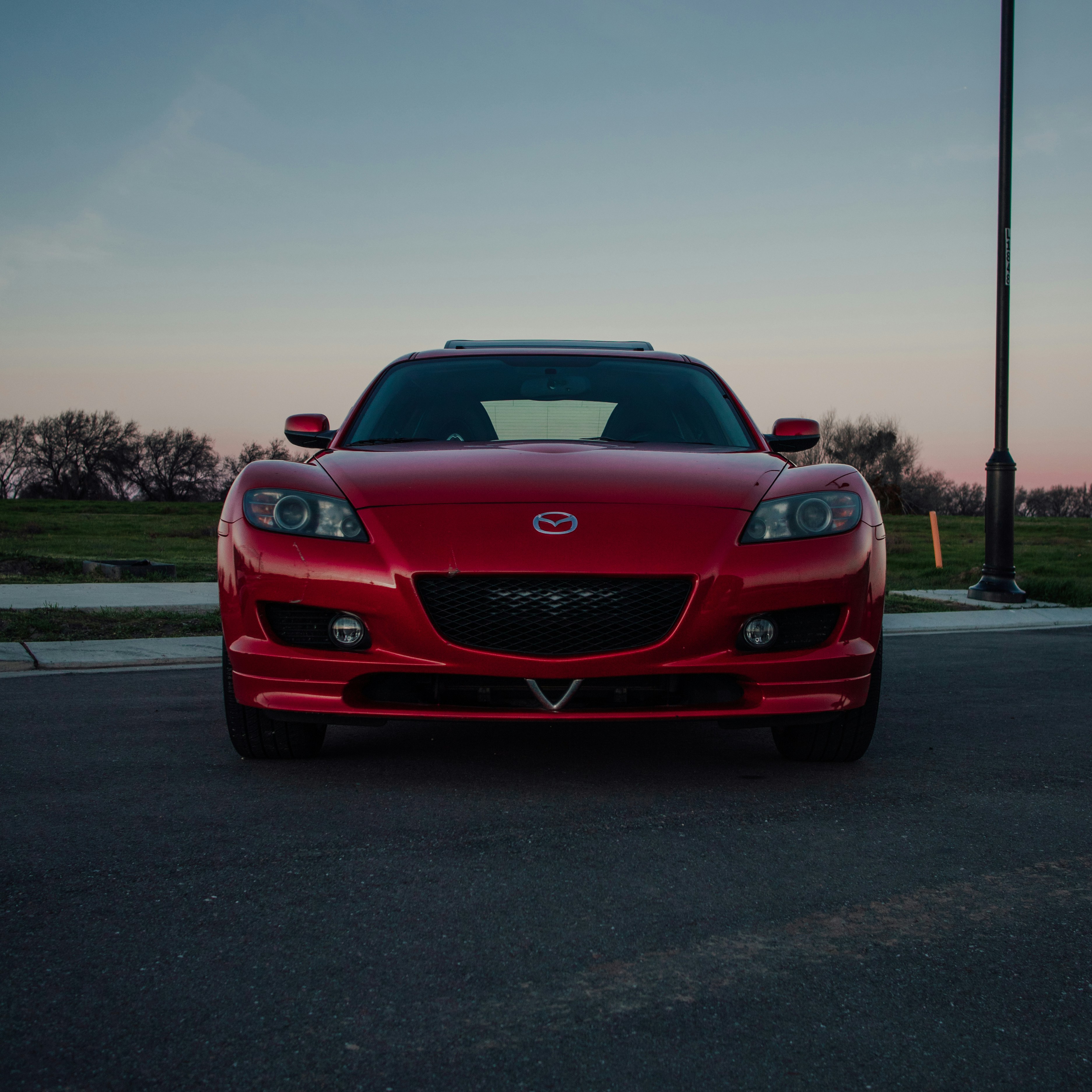 Photo by angelssloppyphotos