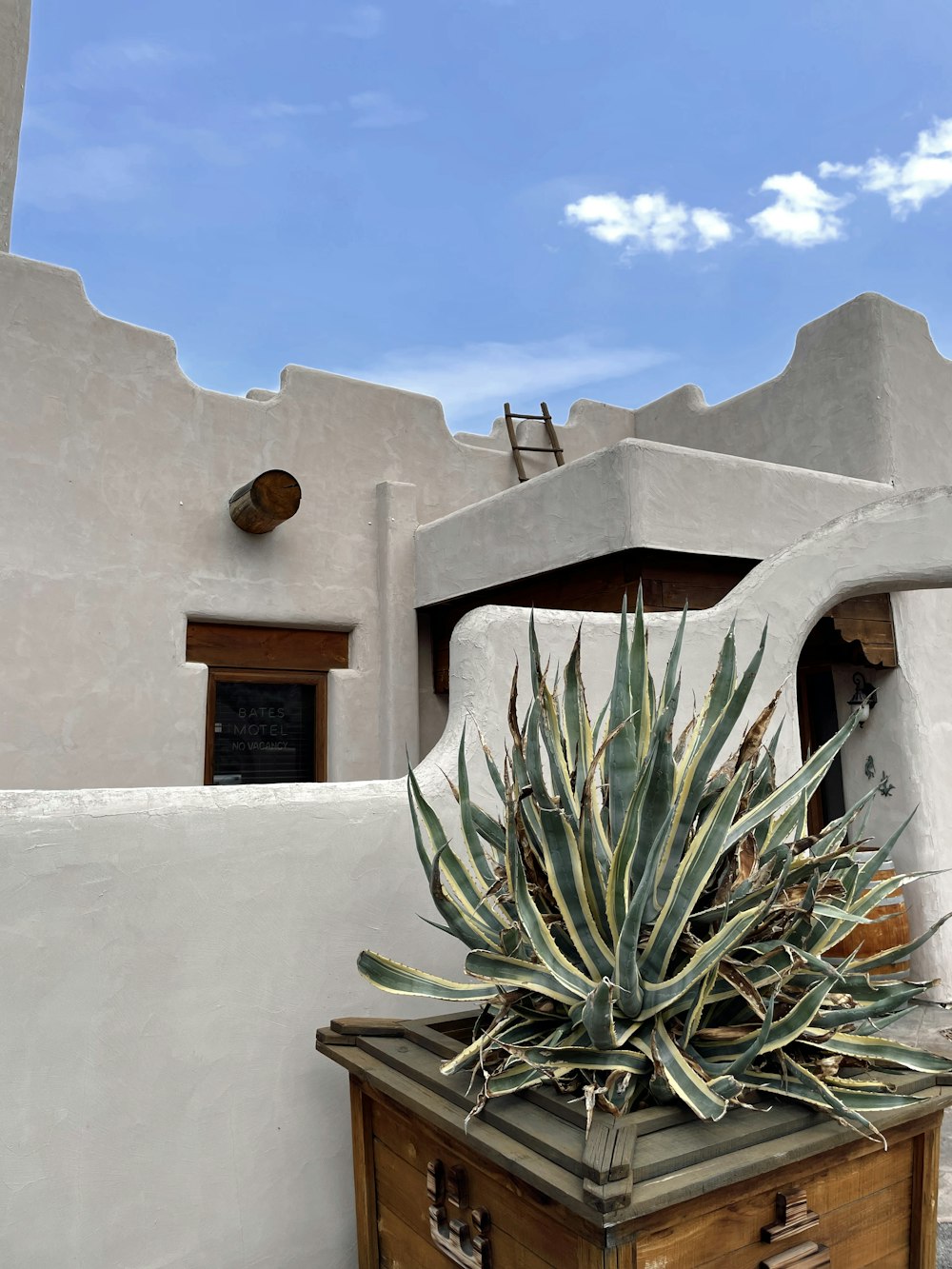 a house with a plant on top of it