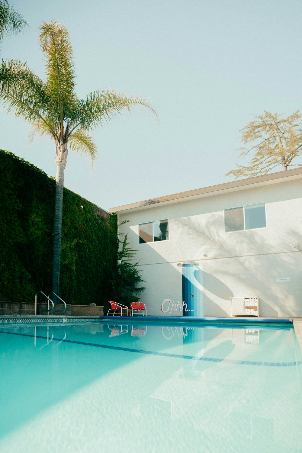 a swimming pool with a palm tree and a house in the background