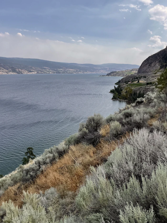Okanagan Lake seen from a steep hillside of sage and dry grass, with hills along the far shore