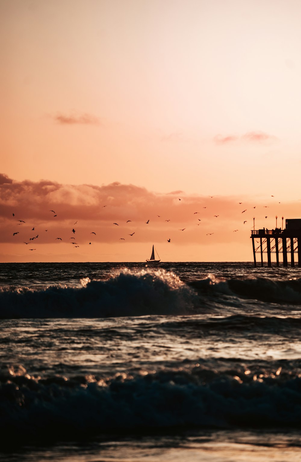 birds flying over a body of water with a pier in the background