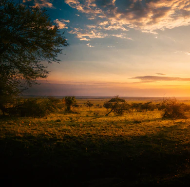 A serene sunset over the South African savannah with silhouetted acacia trees and distant wildlife.