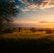 A serene landscape of a Kenyan sunset with traditional healing symbols in the foreground.