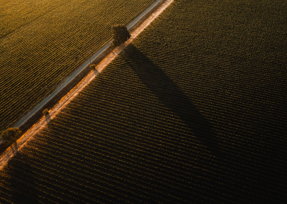 an aerial view of a tractor in a field