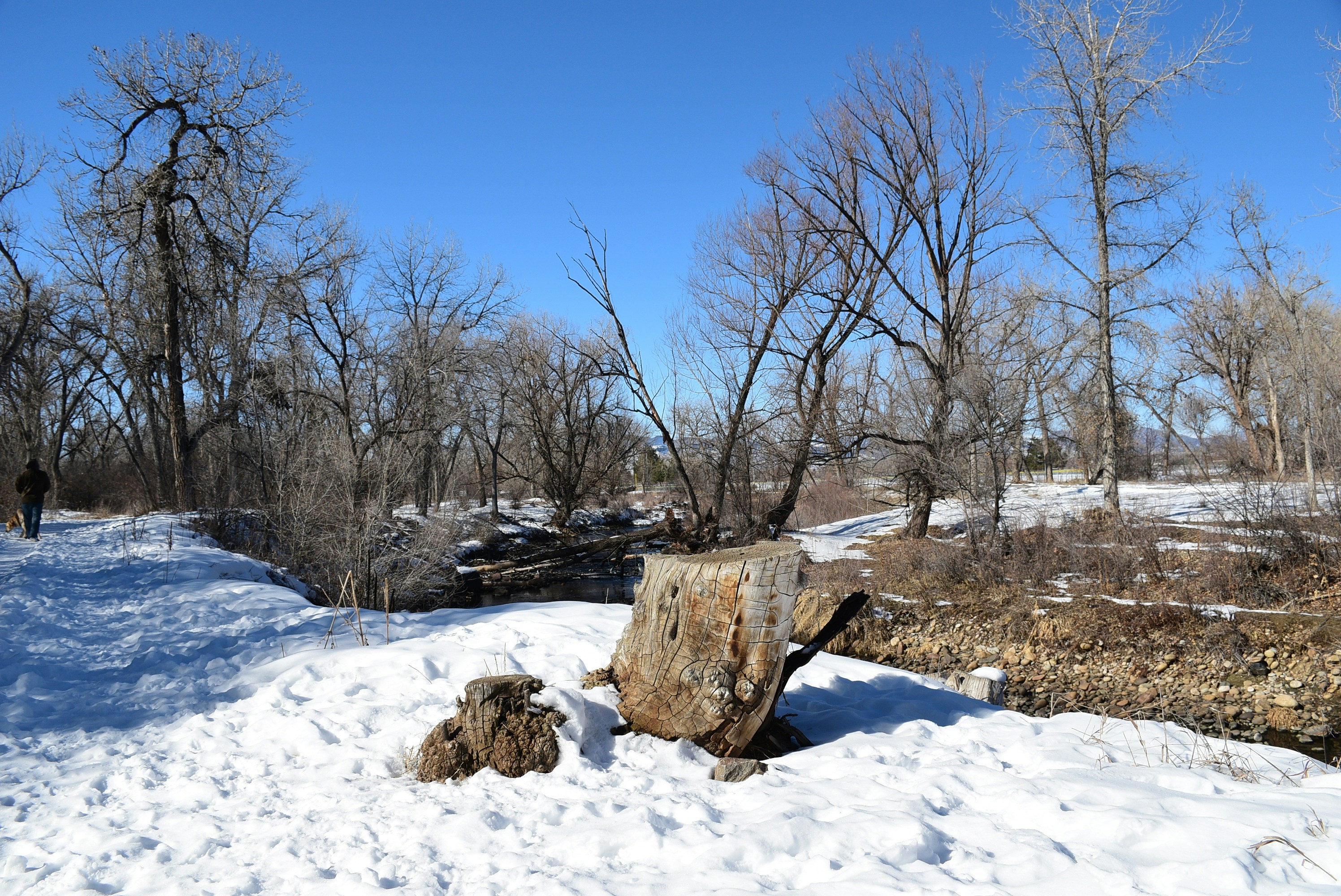 Illegal Pete's Gold's