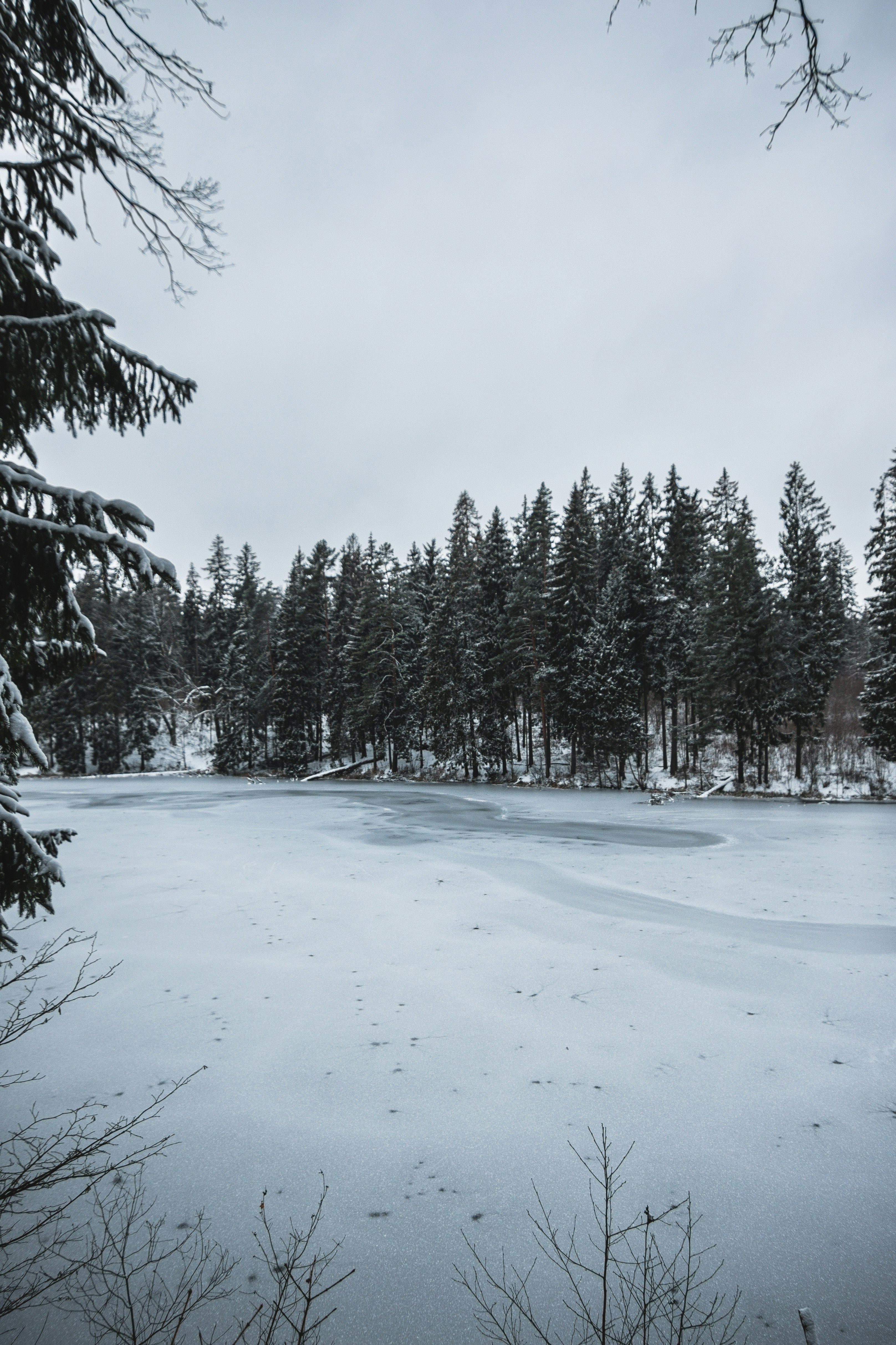 Photo by darkmoon_afa