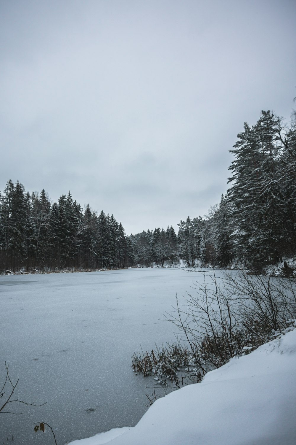 a frozen lake surrounded by snow covered trees