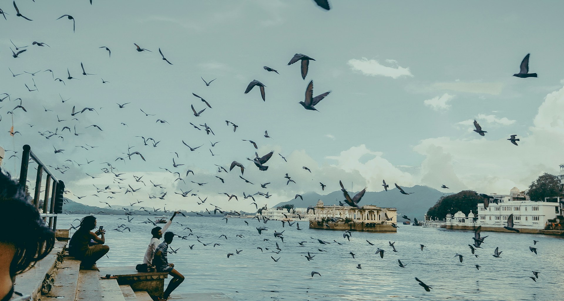 a flock of birds flying over a body of water