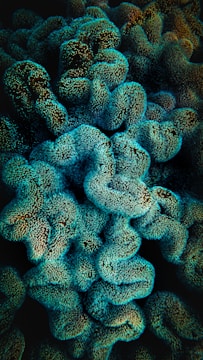 A vibrant underwater scene featuring coral formations with a textured surface. The corals are illuminated by a teal light, creating an otherworldly atmosphere. Their intricate patterns and densely packed structures appear lush and dynamic.