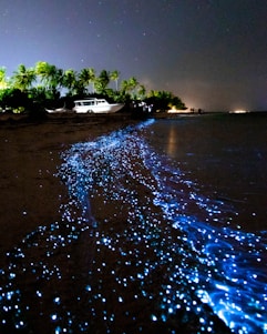 Bioluminescent waves gently lap onto a sandy beach under the night sky, creating a trail of glowing blue light along the shoreline. In the background, palm trees and a boat are illuminated subtly by distant lighting, while a few people are gathered further along the beach. Stars twinkle in the clear sky, adding to the enchanting atmosphere.