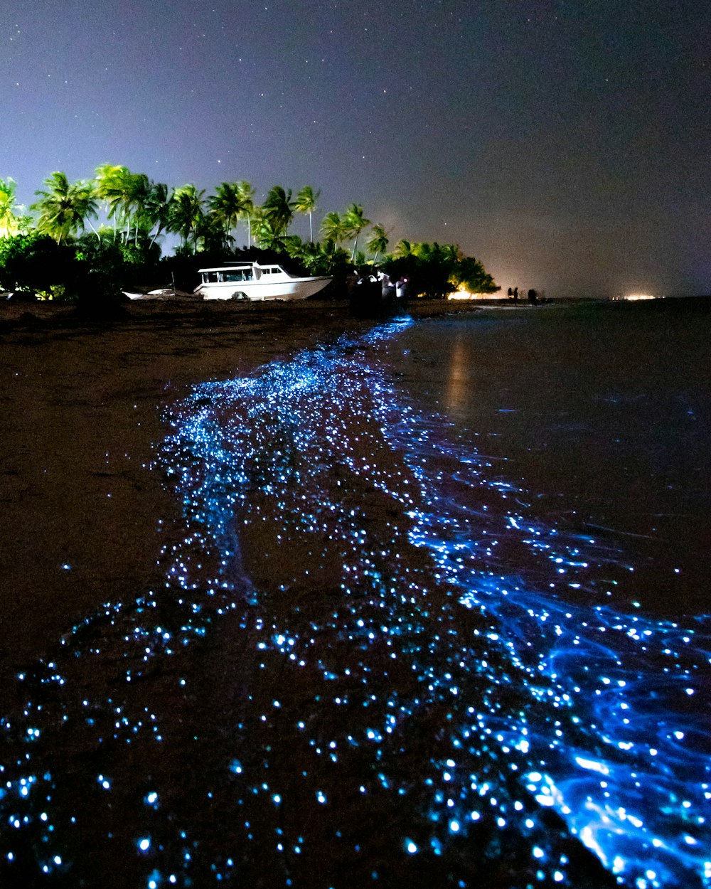 a beach covered in blue lights under a night sky