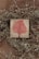 A wooden surface features a small square plaque with a vibrant red tree design. Thin, dry branches with small leaves encircle the plaque, adding a rustic and natural frame to the artwork.