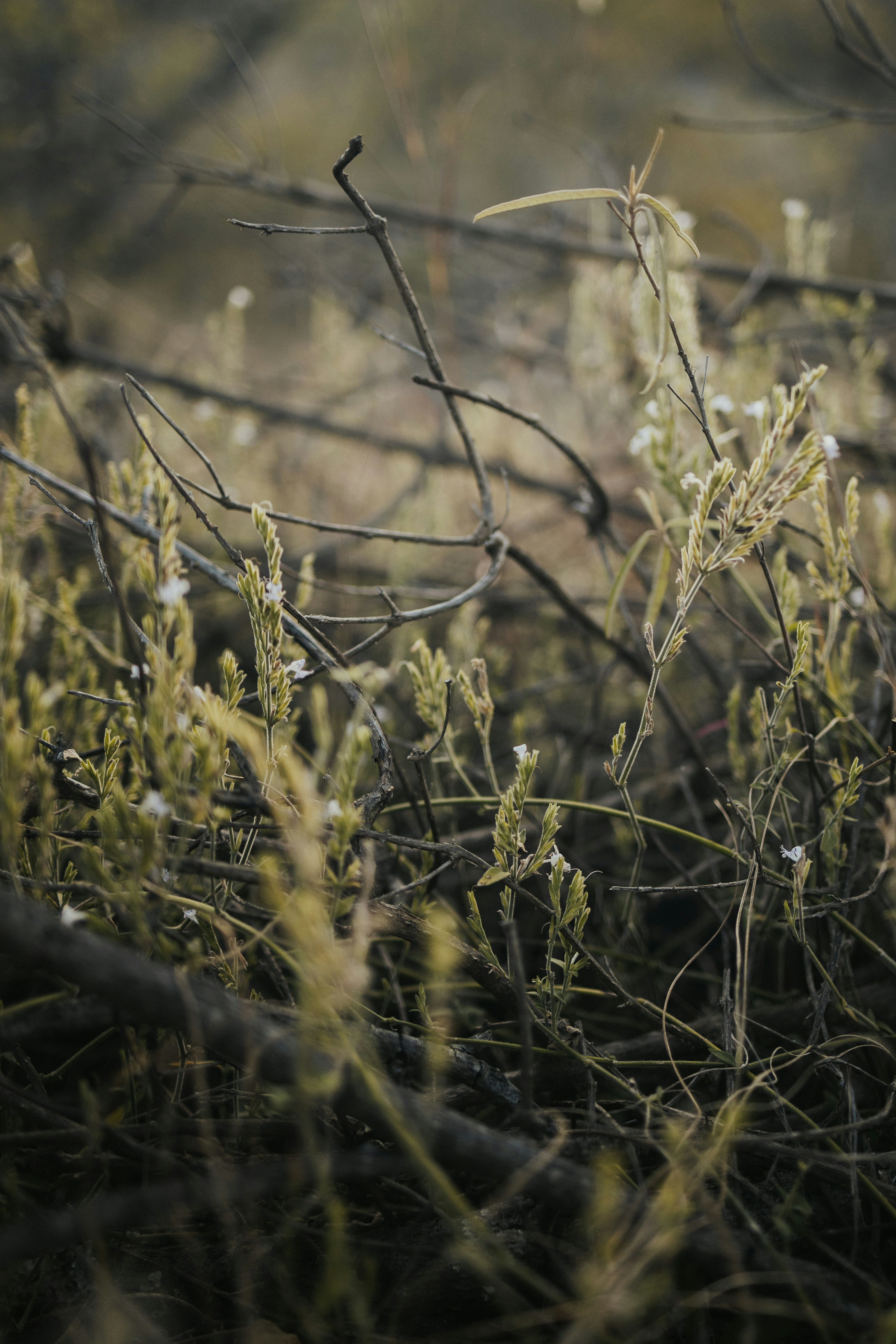 Photo by melissaleigh