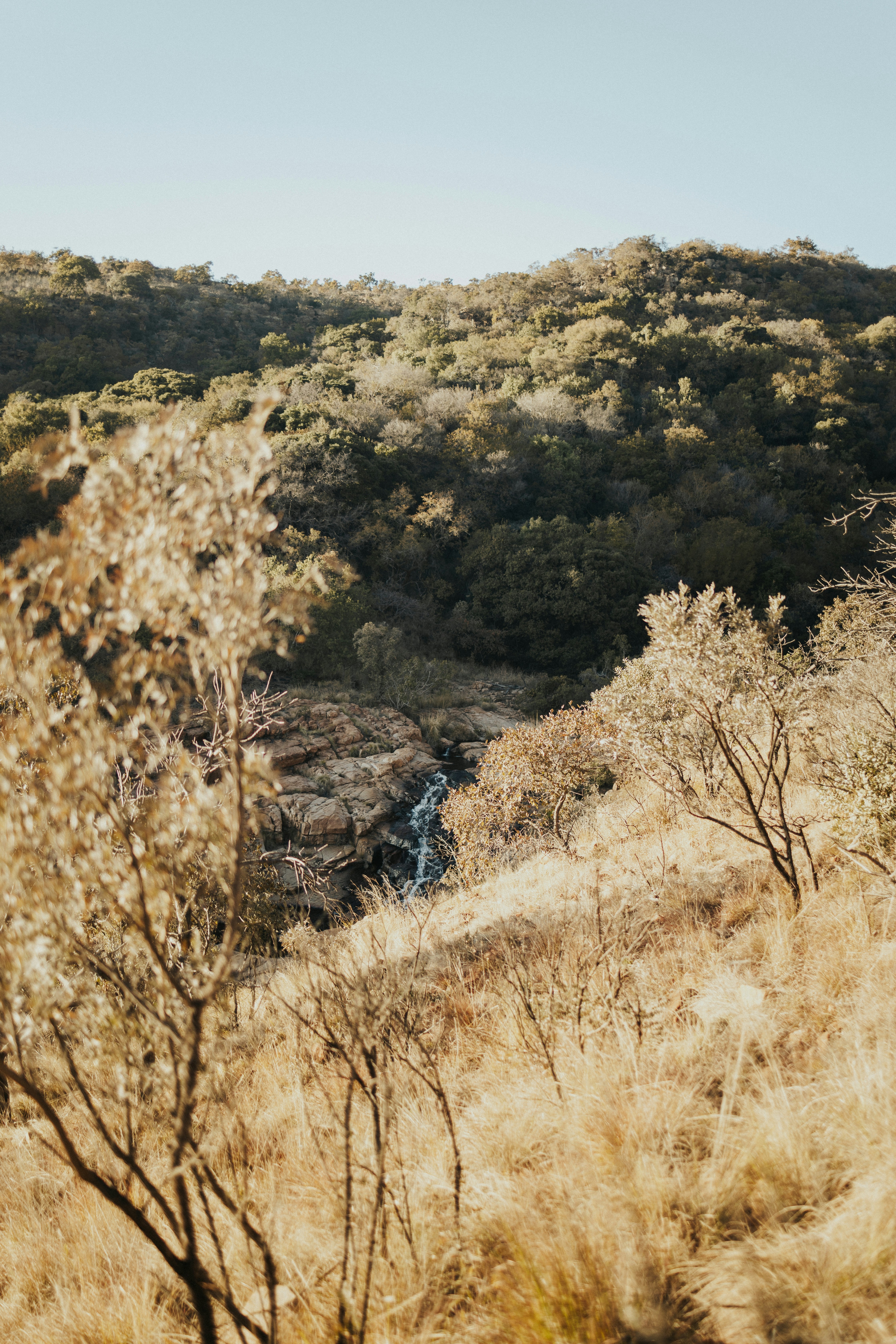 Photo by melissaleigh