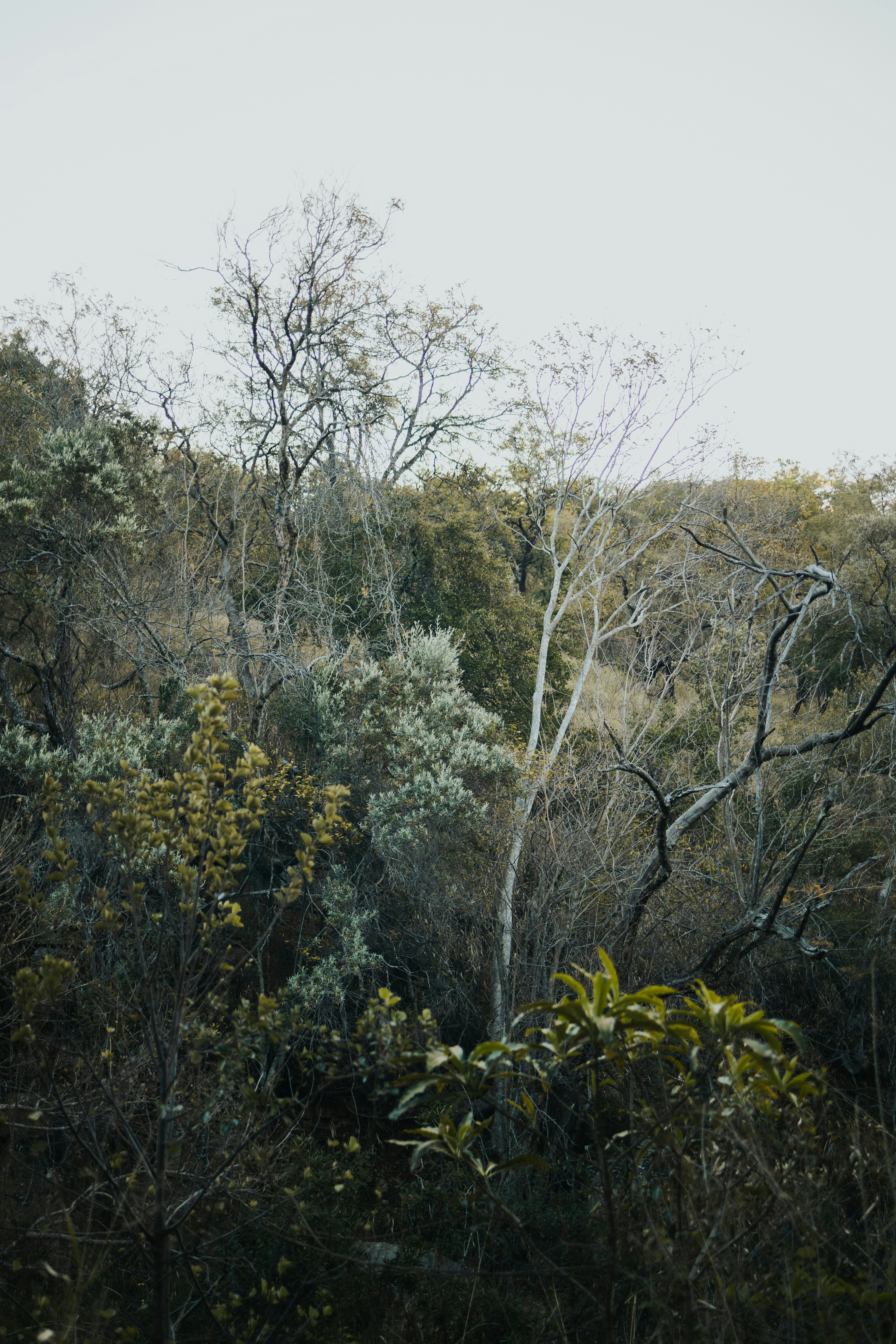 Photo by melissaleigh