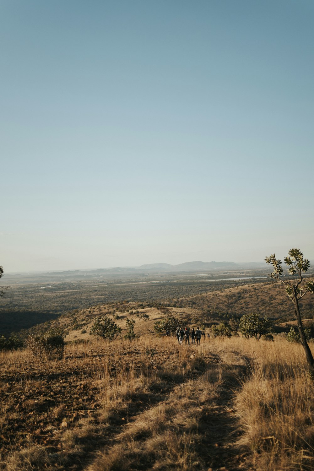 a group of people walking down a dirt road