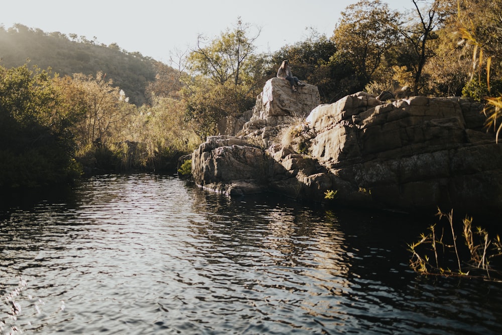 a man standing on a rock in the middle of a river