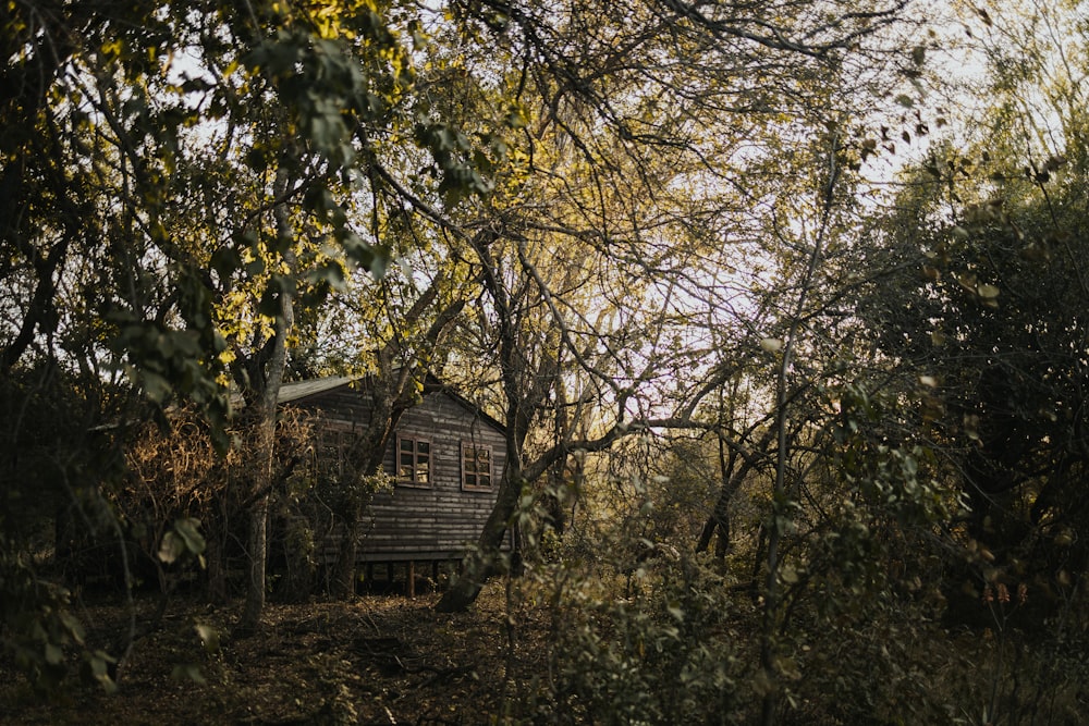 eine kleine Holzhütte im Wald, umgeben von Bäumen