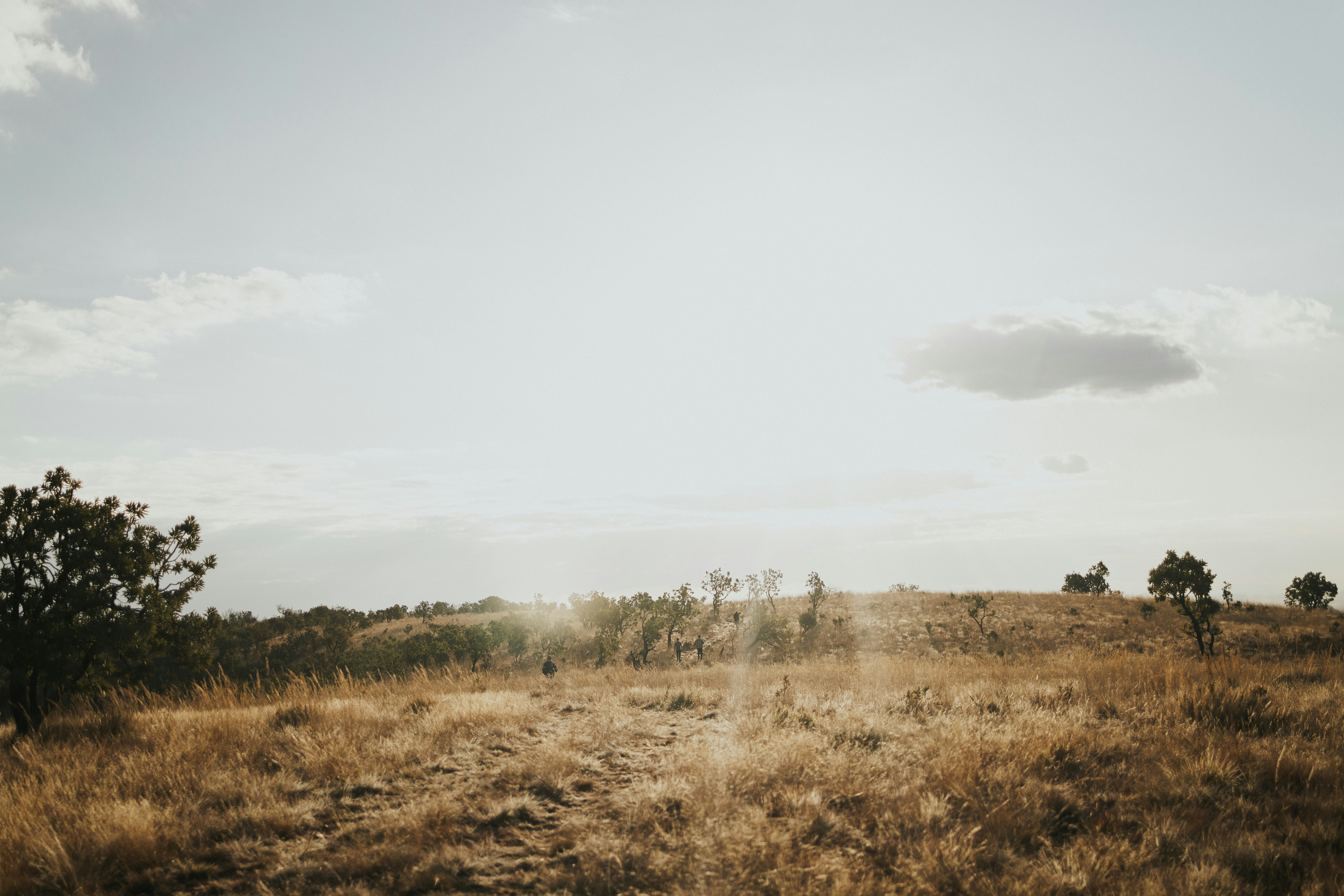 Photo by melissaleigh