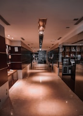 Inviting apartment hallway with tasteful decor and lighting.