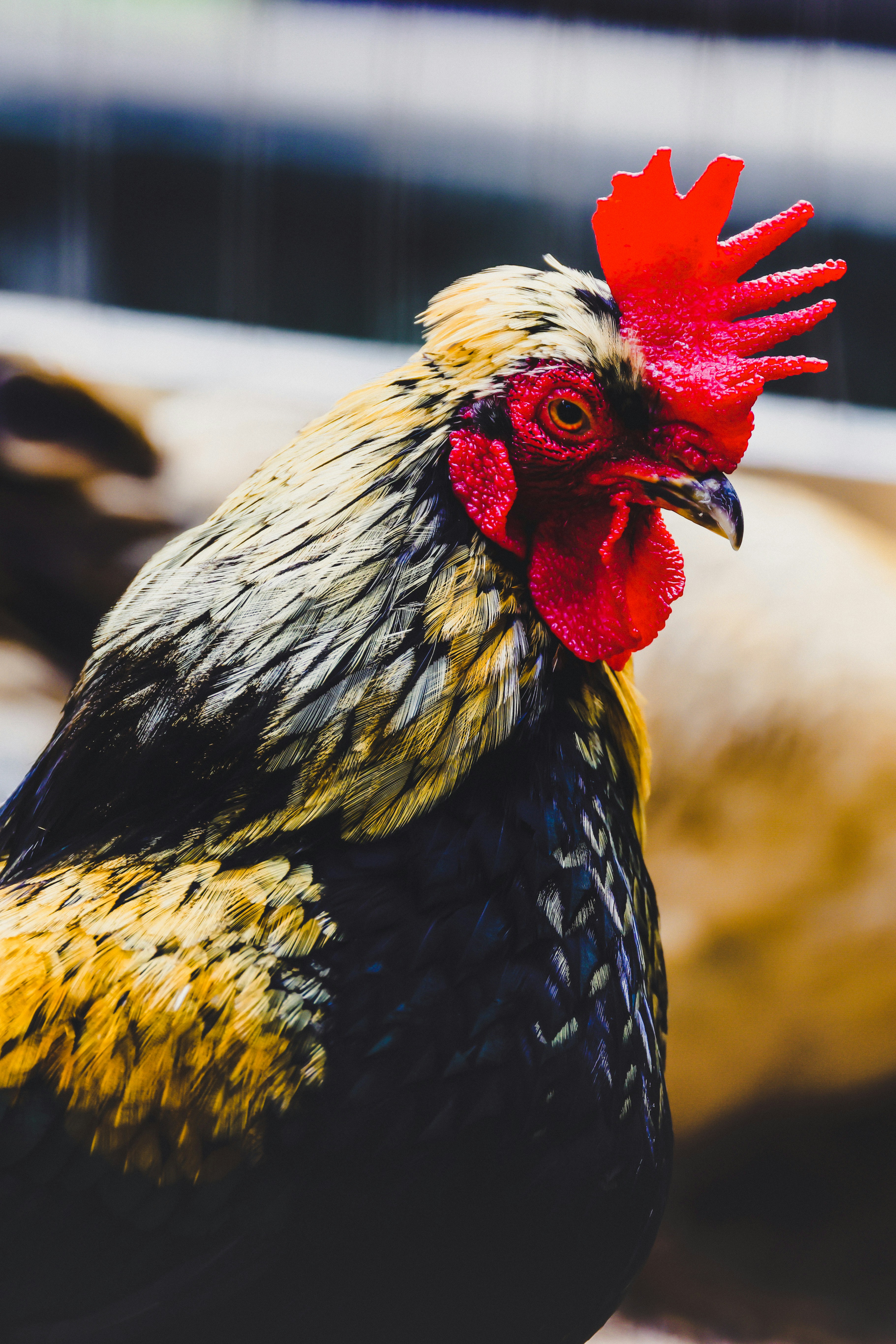 Photo by dickenslin76