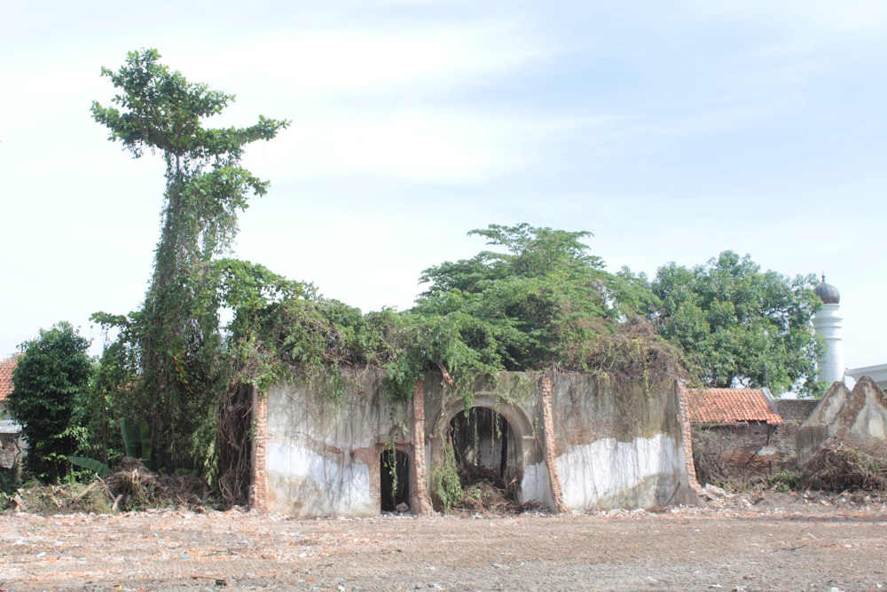 an old building with trees growing out of it