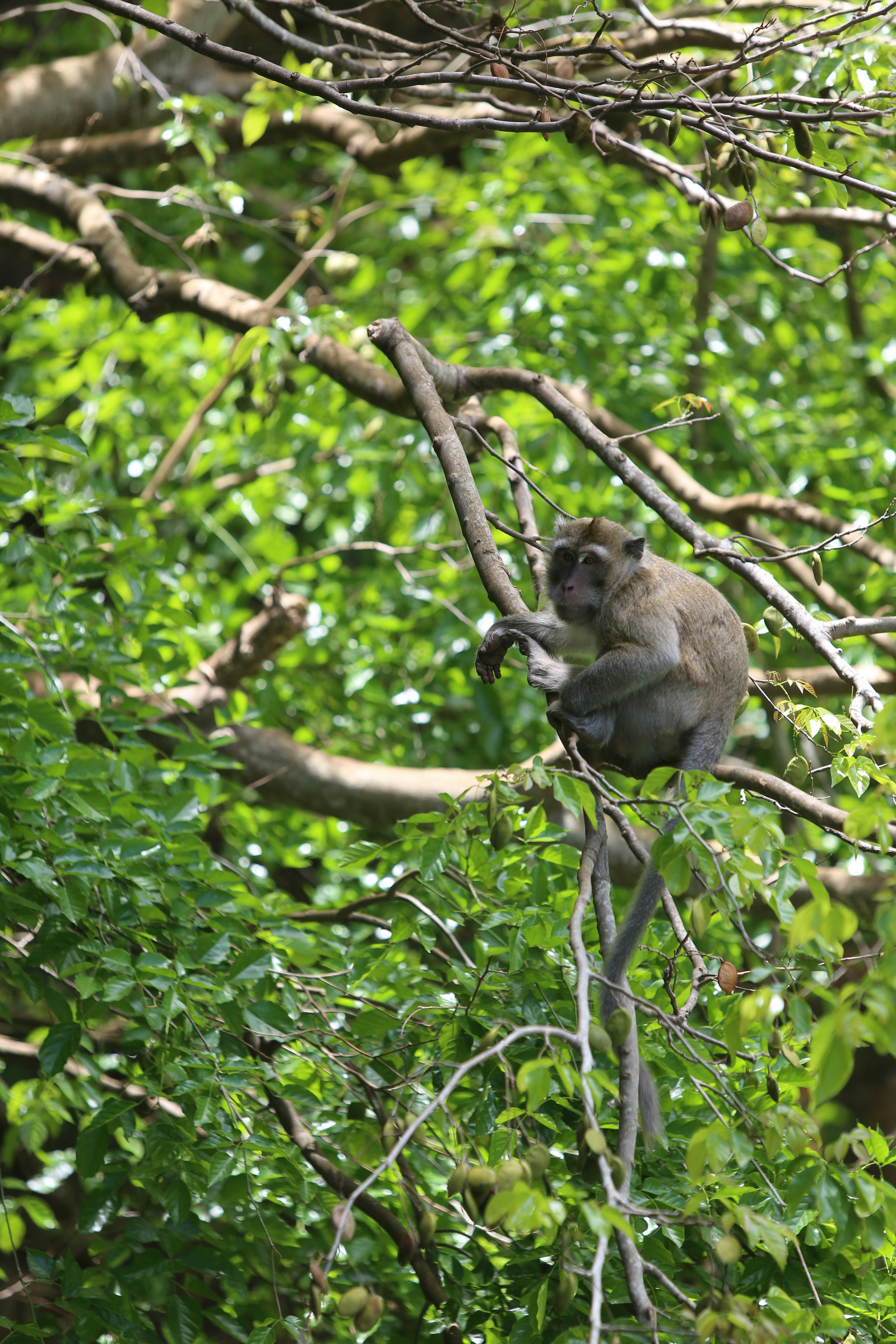 Photo by angelokarabo053