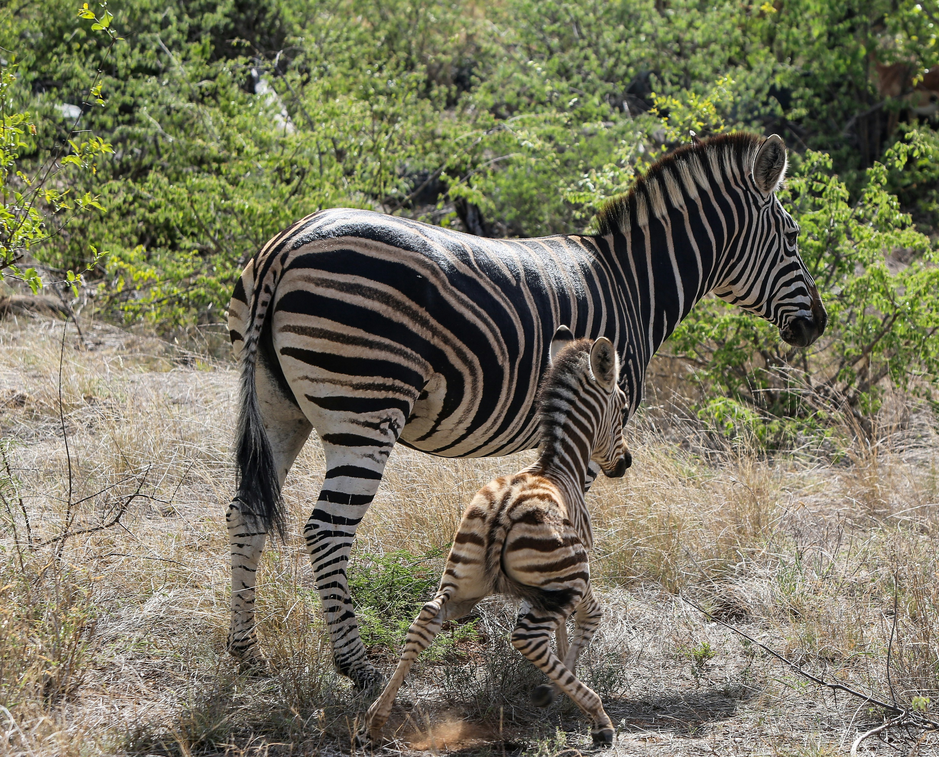 Photo by angelokarabo053