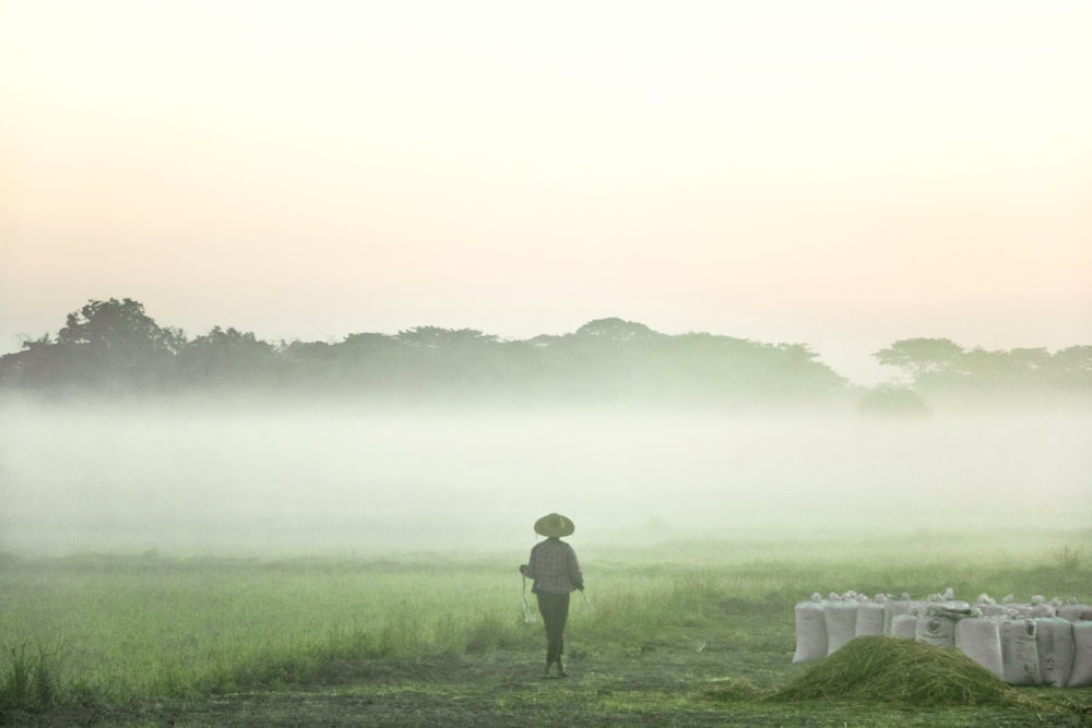 a person standing in a field in the fog