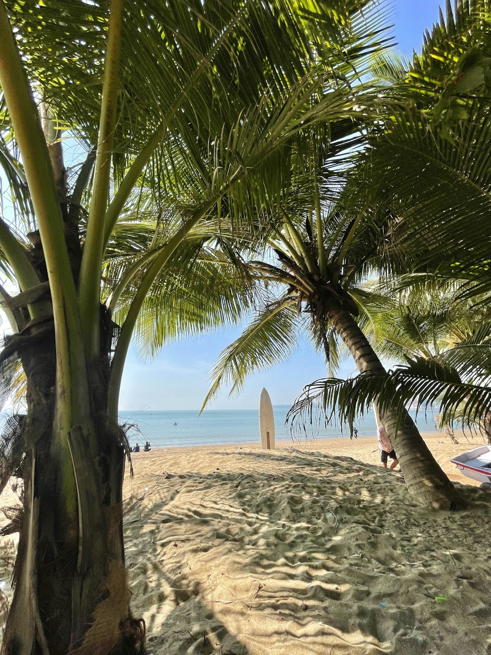 a view of a beach with palm trees and a surfboard