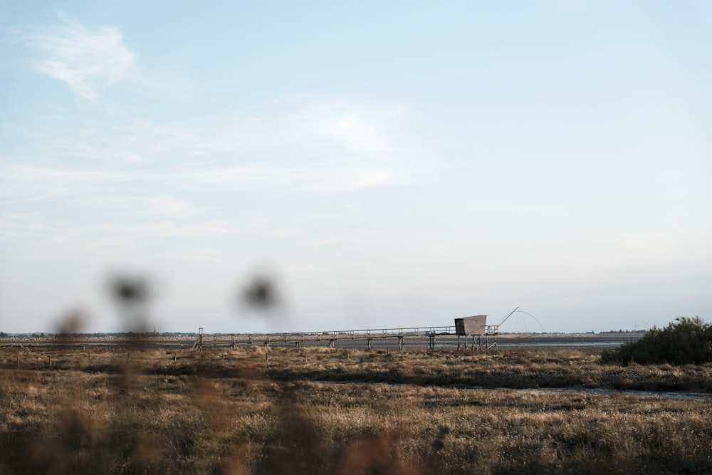 a train traveling through a rural countryside under a blue sky