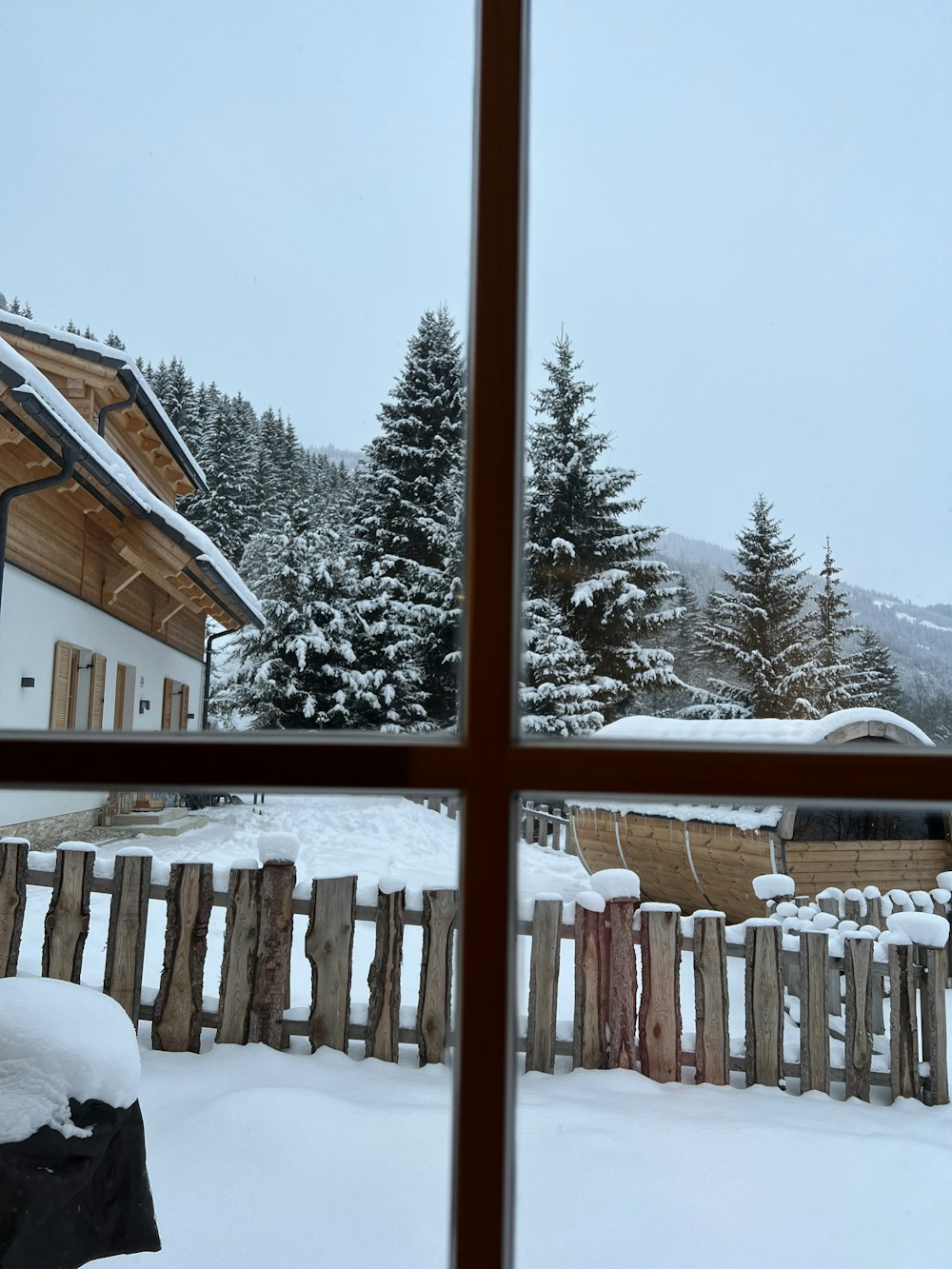 a view of a snow covered yard through a window
