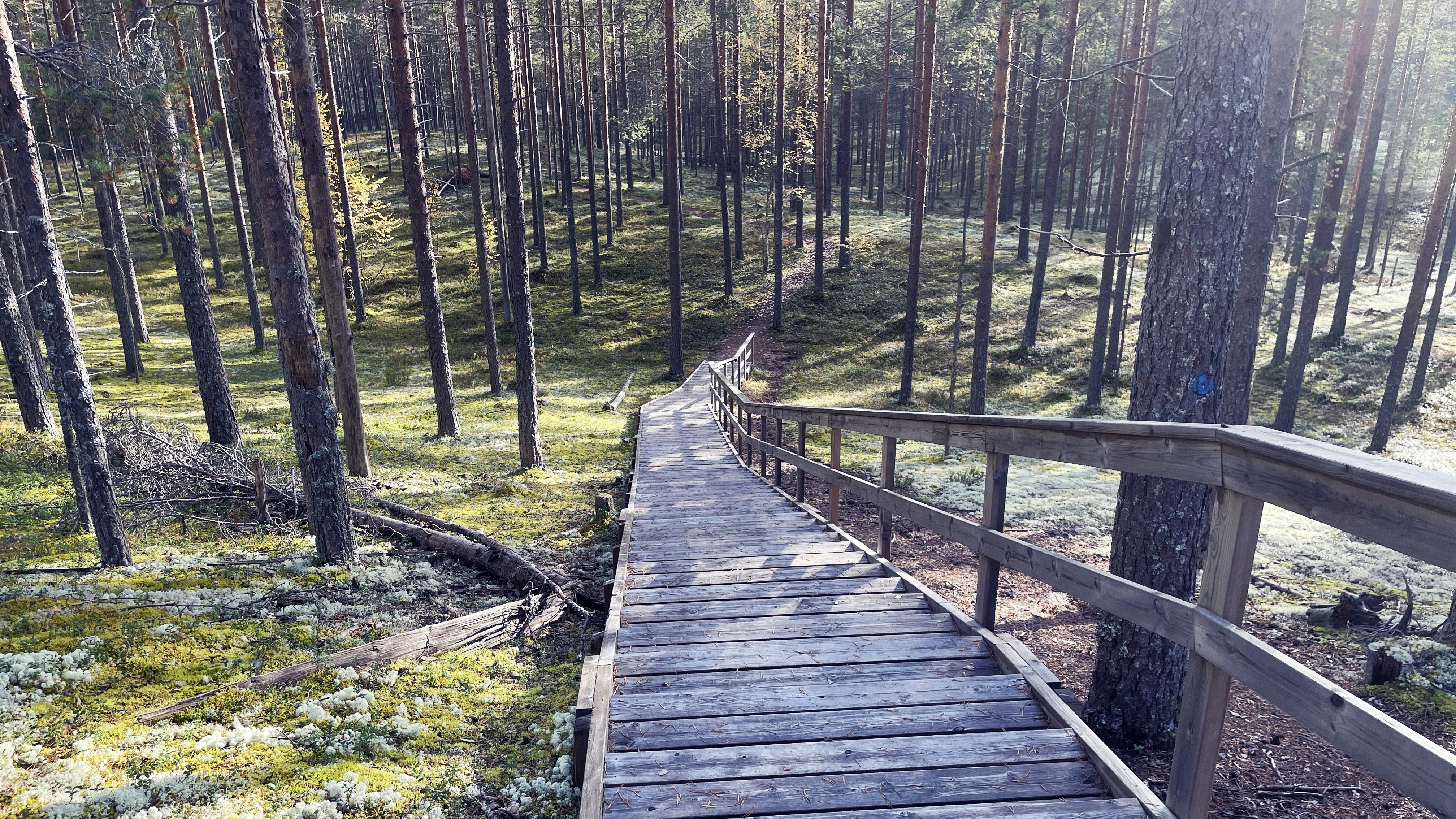 popularTrips-img