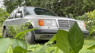A silver Mercedes-Benz car is parked among lush green foliage, with overgrown plants and trees surrounding it. The car's distinctive grille and emblem are prominent, and the setting suggests it is in a secluded, natural environment.