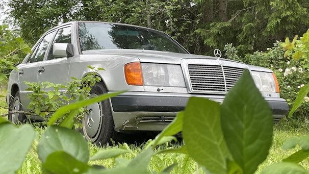 A silver Mercedes-Benz car is parked among lush green foliage, with overgrown plants and trees surrounding it. The car's distinctive grille and emblem are prominent, and the setting suggests it is in a secluded, natural environment.