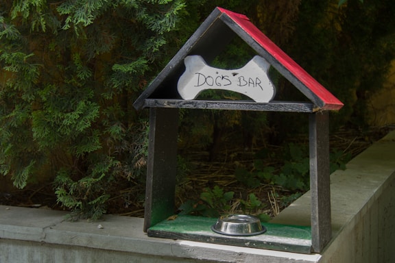 A small structure designed to resemble a doghouse, featuring a roof with black and red panels and a sign labeled 'Dog's Bar' shaped like a bone. A shiny metal bowl is placed under the structure. The setup is located outdoors, surrounded by green foliage and placed on a concrete surface.