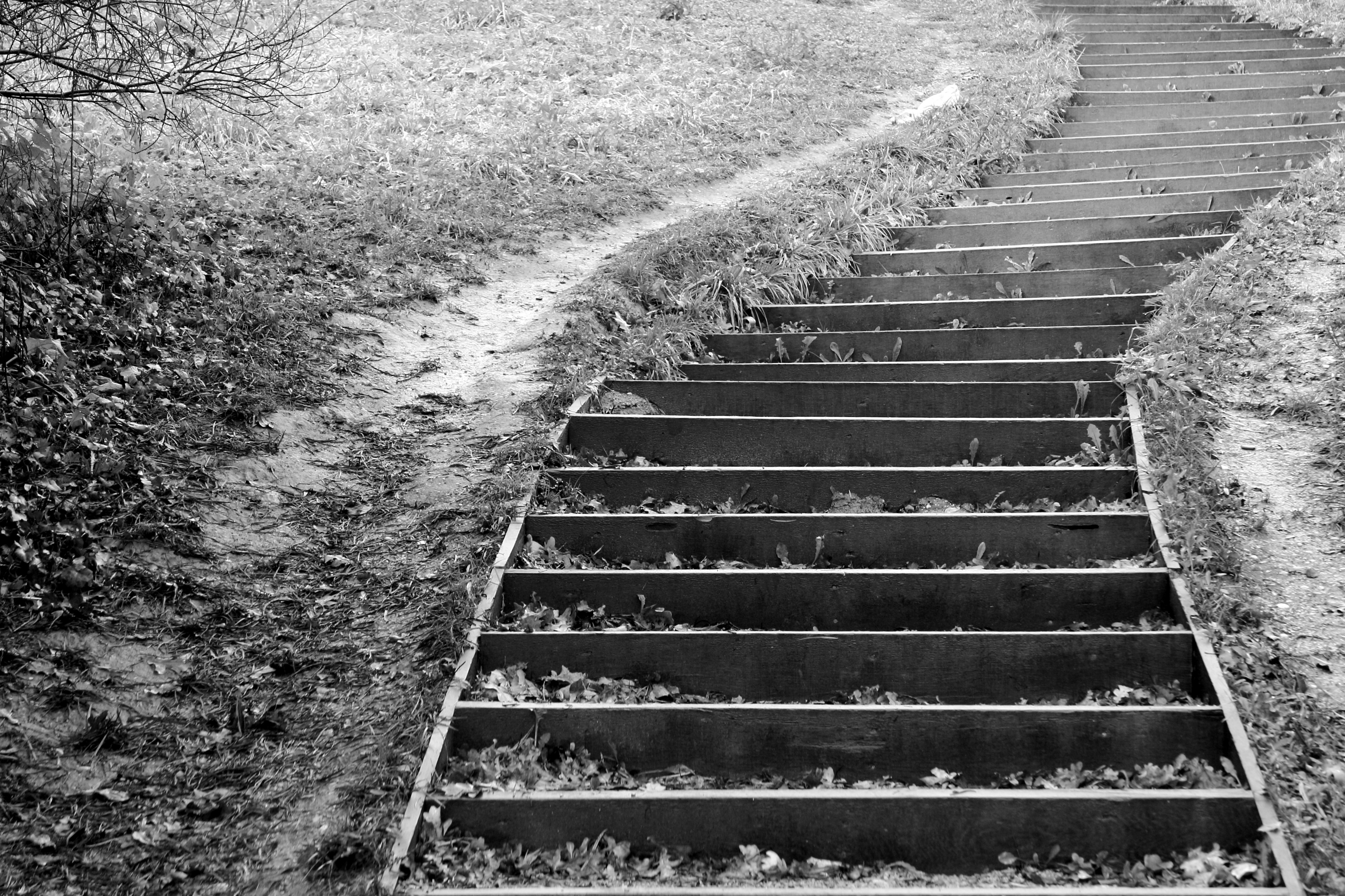 A black and white photo of a set of stairs