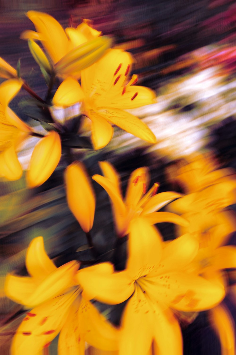 a blurry picture of yellow flowers in a vase