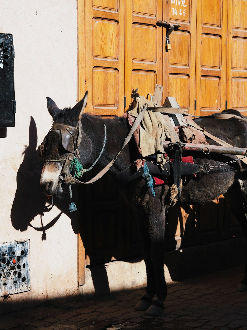 a donkey with a saddle standing in front of a building