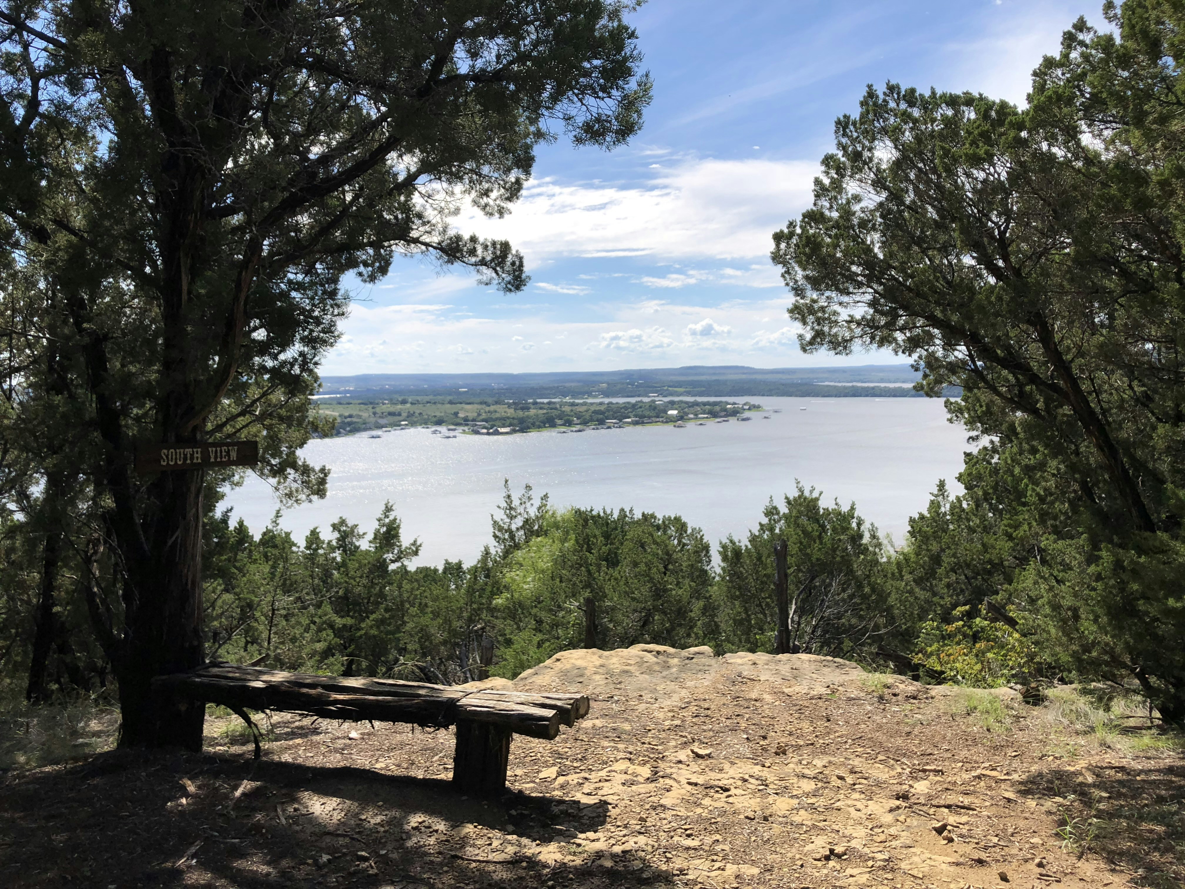 a bench sitting on top of a hill next to a forest