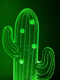 A close-up of hands holding a glowing peyote cactus under soft natural light.